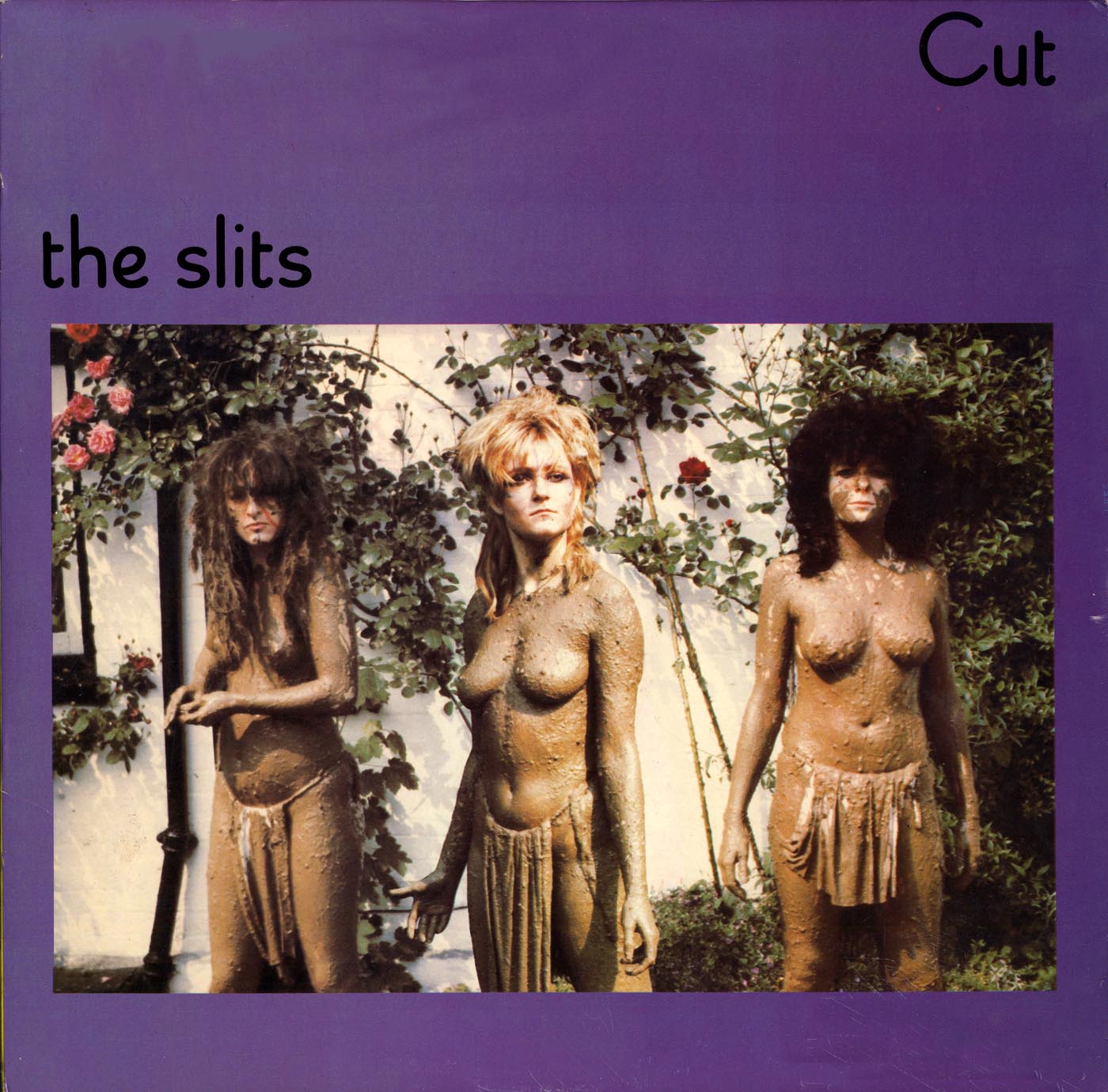 slits_cut